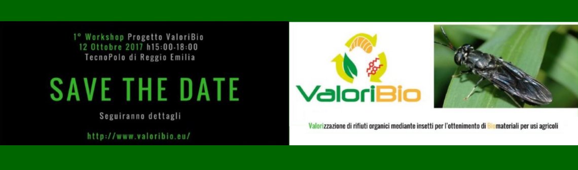 ValoriBio – Valorizzazione dei rifiuti organici mediante insetti per l’ottenimento di biomateriali per usi agricoli